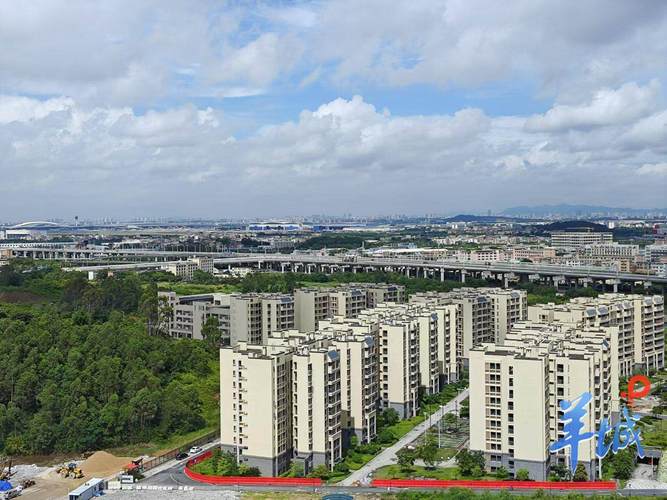 7月深圳车牌竞拍激烈,中标者喜提金钥匙